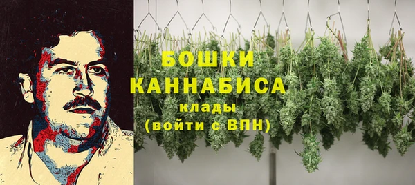 a pvp Аркадак