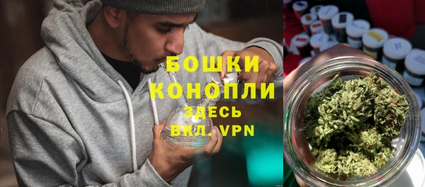 a pvp Аркадак